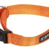Icepeak Pet Winner Basic Collar Orange -Avonturen Plein 37281 icepeak pet winner basic collar orange