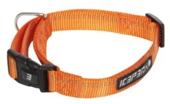 Icepeak Pet Winner Basic Collar Orange