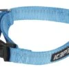Icepeak Pet Winner Basic Collar Turquoise -Avonturen Plein 37283 icepeak pet winner basic collar turquoise
