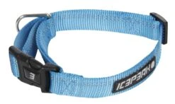 Icepeak Pet Winner Basic Collar Turquoise