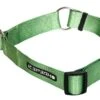 Icepeak Pet Winner Slip Collar Green -Avonturen Plein 37287 icepeak pet winner slip collar green
