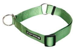 Icepeak Pet Winner Slip Collar Green