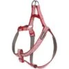 Icepeak Pet Tracer Stripe Step In Harness Classic Red -Avonturen Plein 37515 icepeak pet tracer stripe step in harness classic red