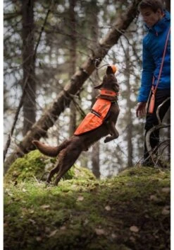 Icepeak Pet Reflect Prozone Vest -Avonturen Plein 58553 icepeak pet reflect prozone vest