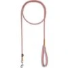 Icepeak Pet Special Leash Brightly M -Avonturen Plein 58581 icepeak pet special leash brightly m