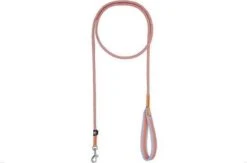 Icepeak Pet Special Leash Brightly M