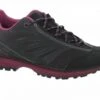 Hanwag Evorado Low Lady GTX Wandelschoen Dames -Avonturen Plein 65571 hanwag evorado low lady gtx wandelschoen dames