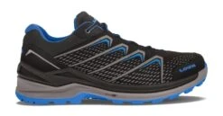Lowa Ferrox Pro GTX Lo Wandelschoen Heren Zwart